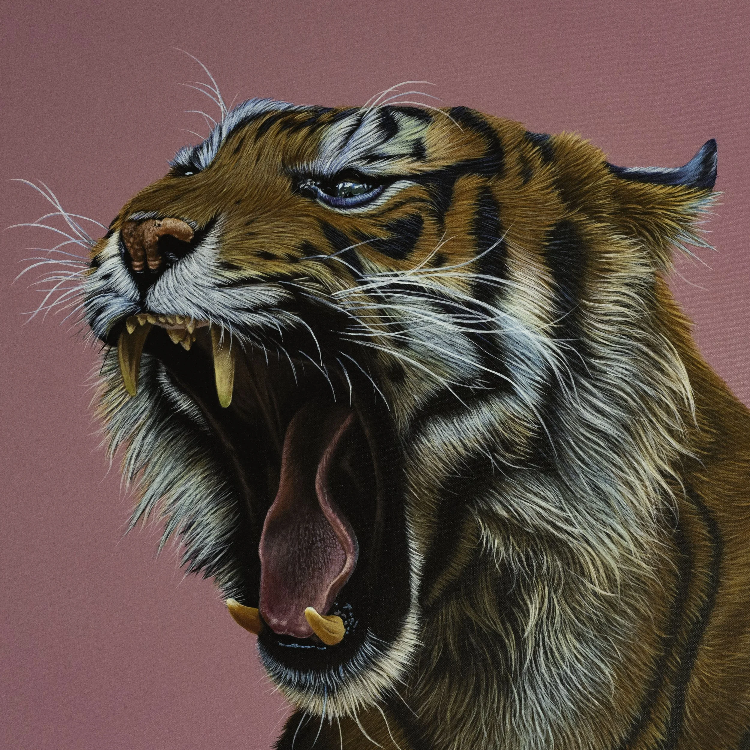 Store 2 — Gareth Wild Art